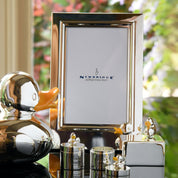 Silver Plated Duck Frame 4x6