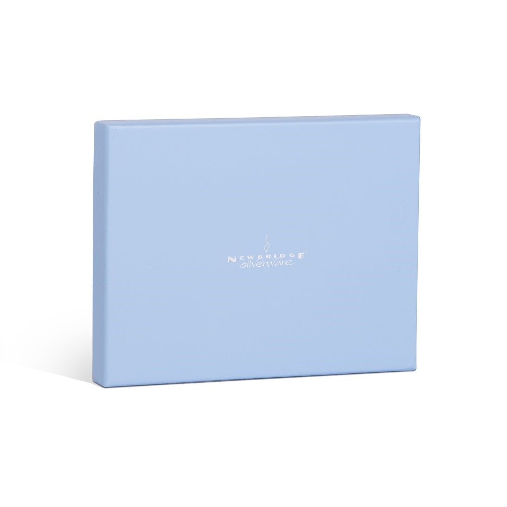 Silver Plated Duck Frame 4x6