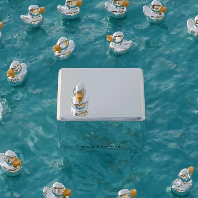 Silver Plated Duck Musical Box