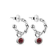 Birthstone Earrings January