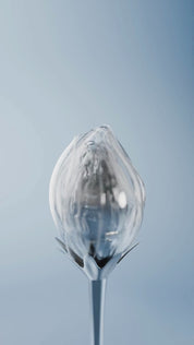 Sterling Silver 4 Claw Lab Grown Diamond Earrings 0.2ct