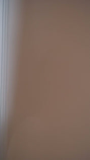 Yellow and White Floral Earrings