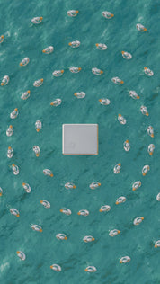 Silver Plated Duck Musical Box