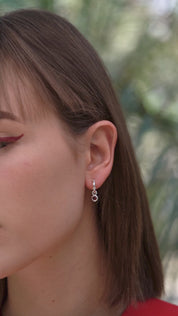 Birthstone Earrings January