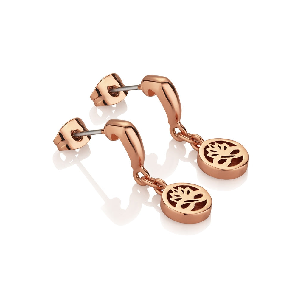 Rose Gold Plated Stud Earrings