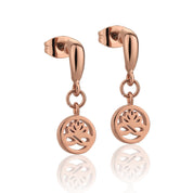 Rose Gold Plated Stud Earrings