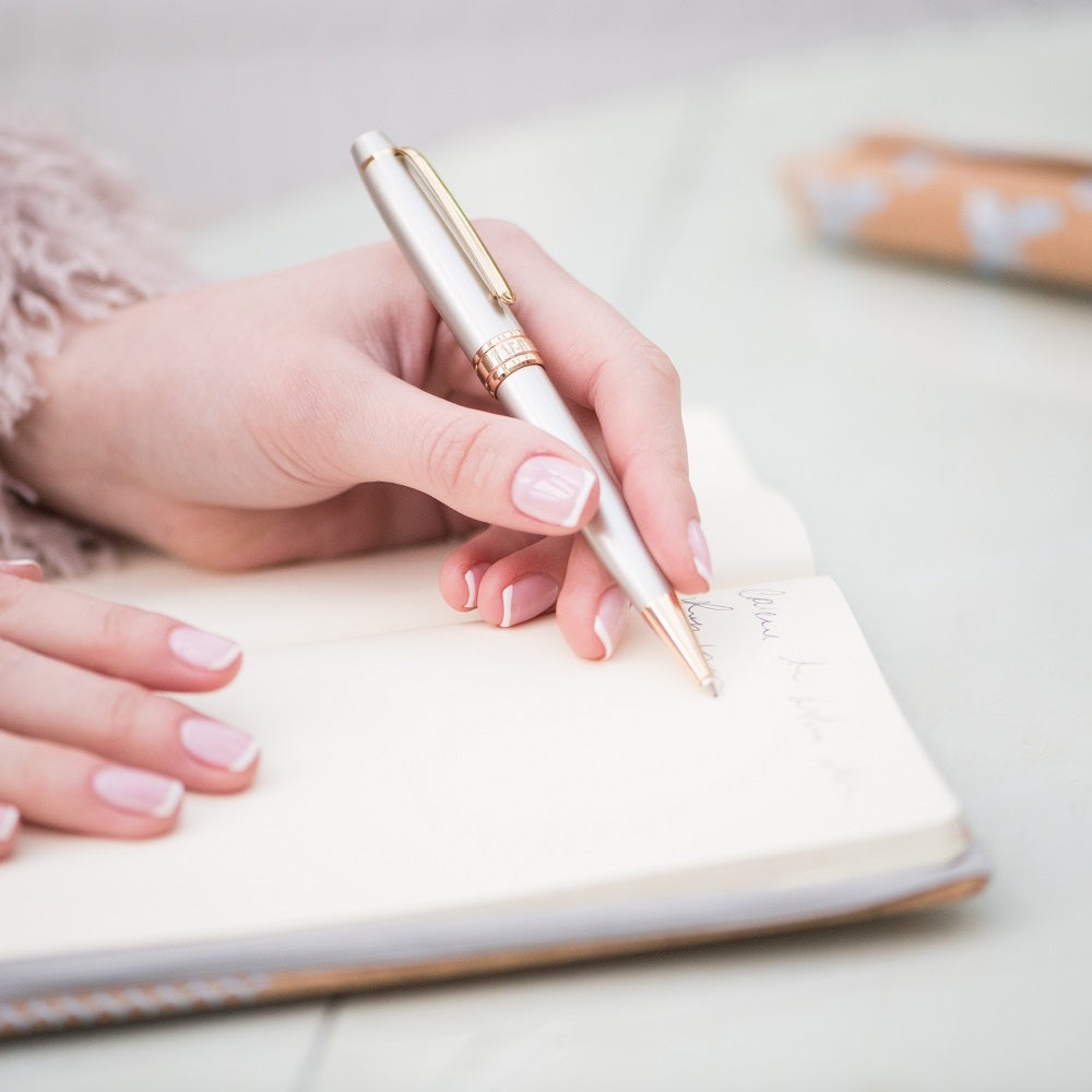 Silver and Gold Plated Pen