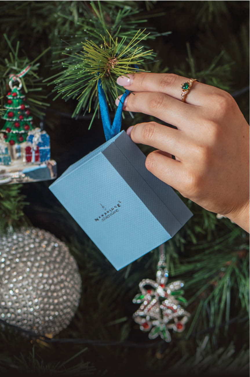 Christmas_Gift_Guide_Landing_Page_Elements7.jpg
